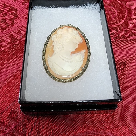 Victorian Cameo Pin/Broach - Picture 2 of 7